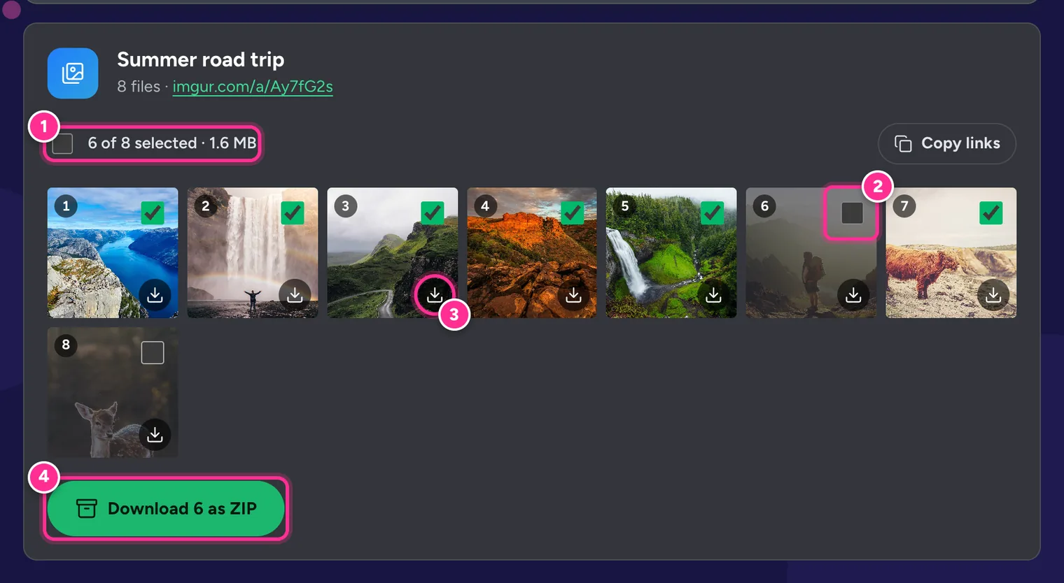 The Imgur Album Downloader showing an album of eight images with checkboxes, 6 of 8 selected, and a Download 6 as ZIP button
