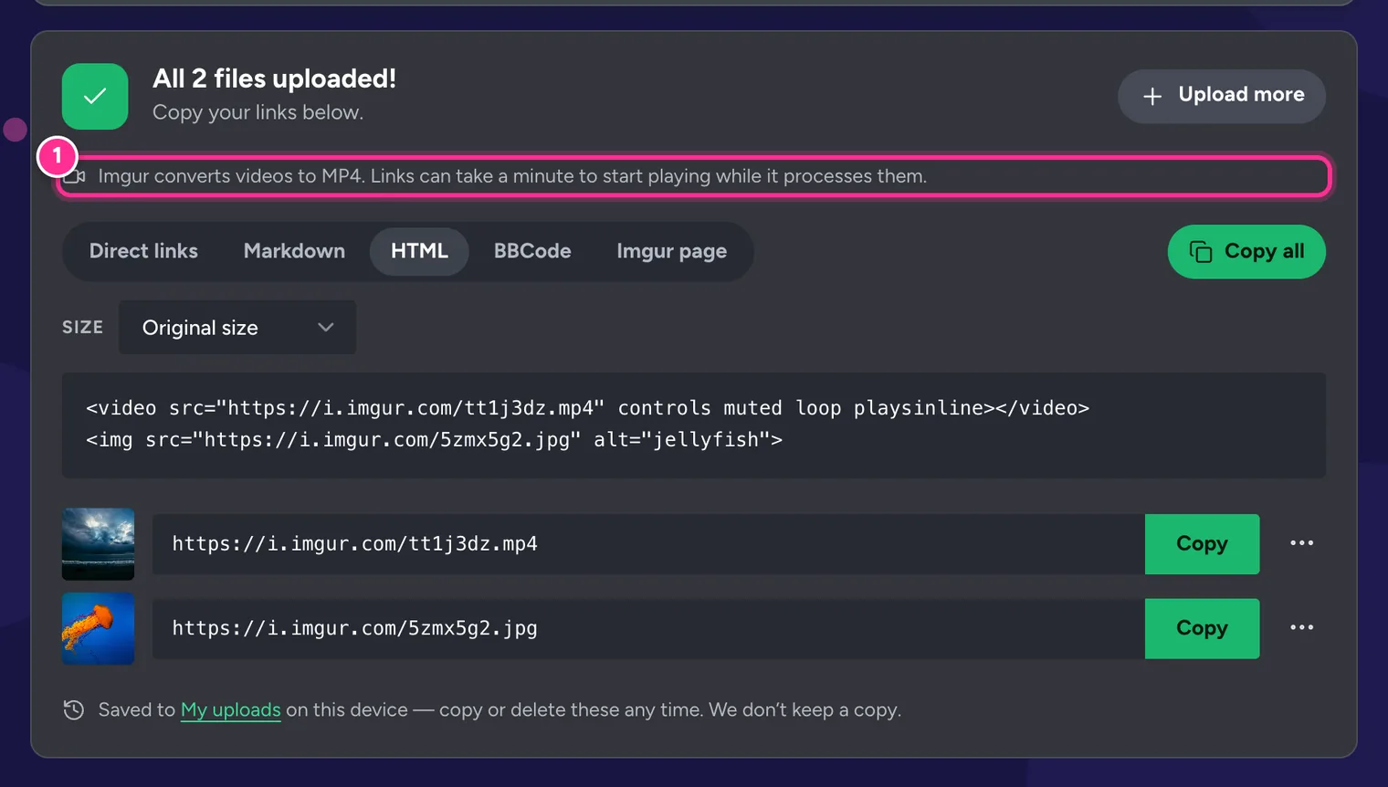 Results for a video and a photo: a note that Imgur converts videos to MP4, the HTML tab with a video tag for the MP4 link, and Copy buttons